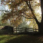 Isole En Pleine Nature * Lavaudieu