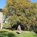 Isole En Pleine Nature